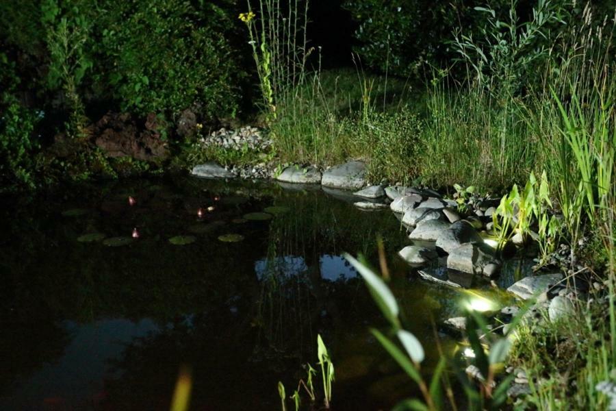 Ferienwohnung Welcome Mit Seeblick Schalkenmehren Ngoại thất bức ảnh